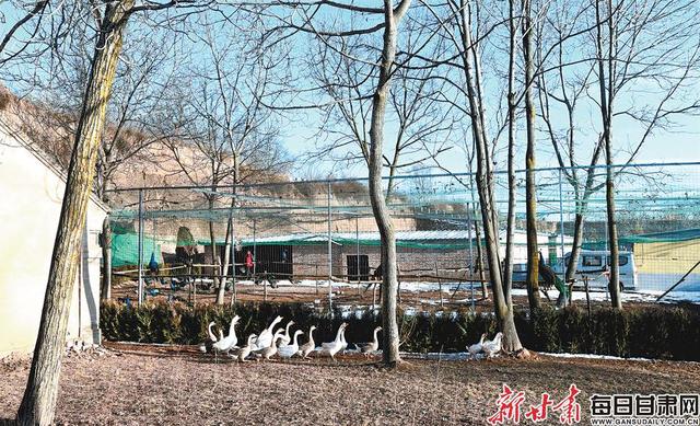 tyc7111cc太阳成集团