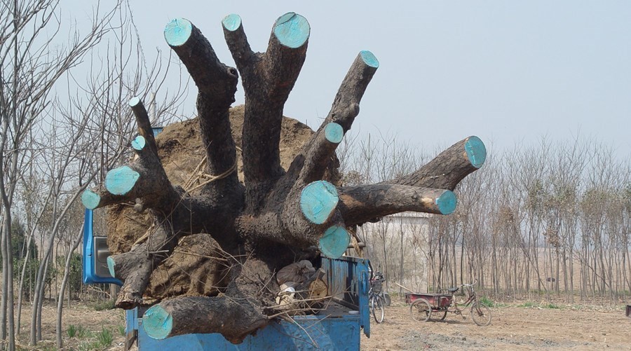 tyc7111cc太阳成集团