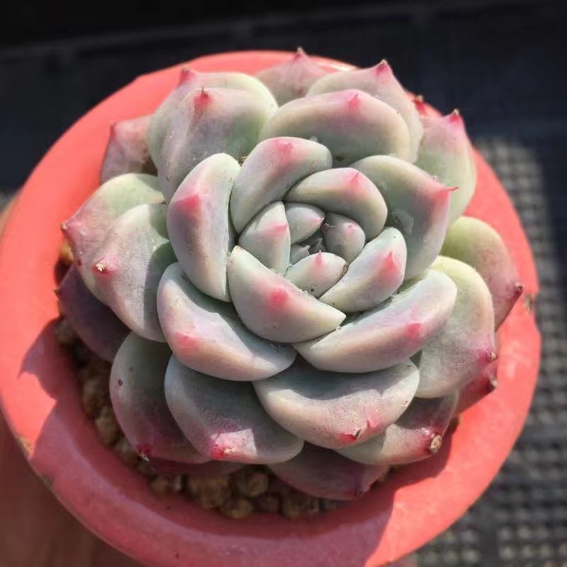 太阳成tyc7111cc官网