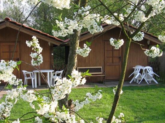 “tyc7111cc太阳成集团”吉克隽逸快女视频曝光 曾竟被曾轶可PK下台(图1) 太阳成tyc7111cc