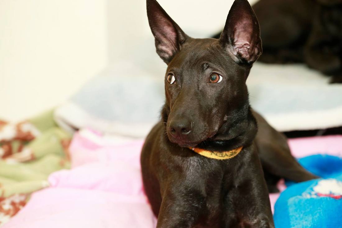 太阳成tyc7111cc官网