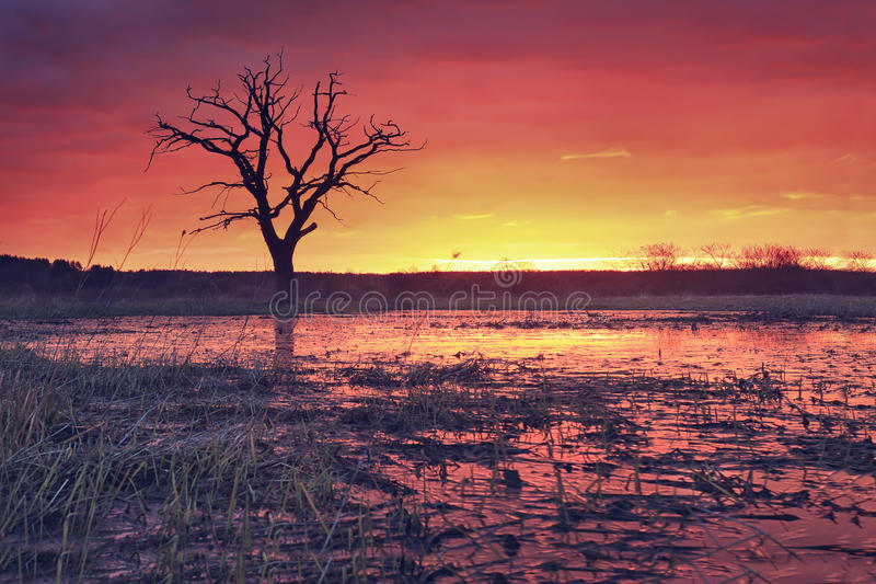 tyc7111cc太阳成集团:林志颖粘假睫毛变娇俏萝莉 自封宅男女神(图2) 太阳成tyc7111cc官网