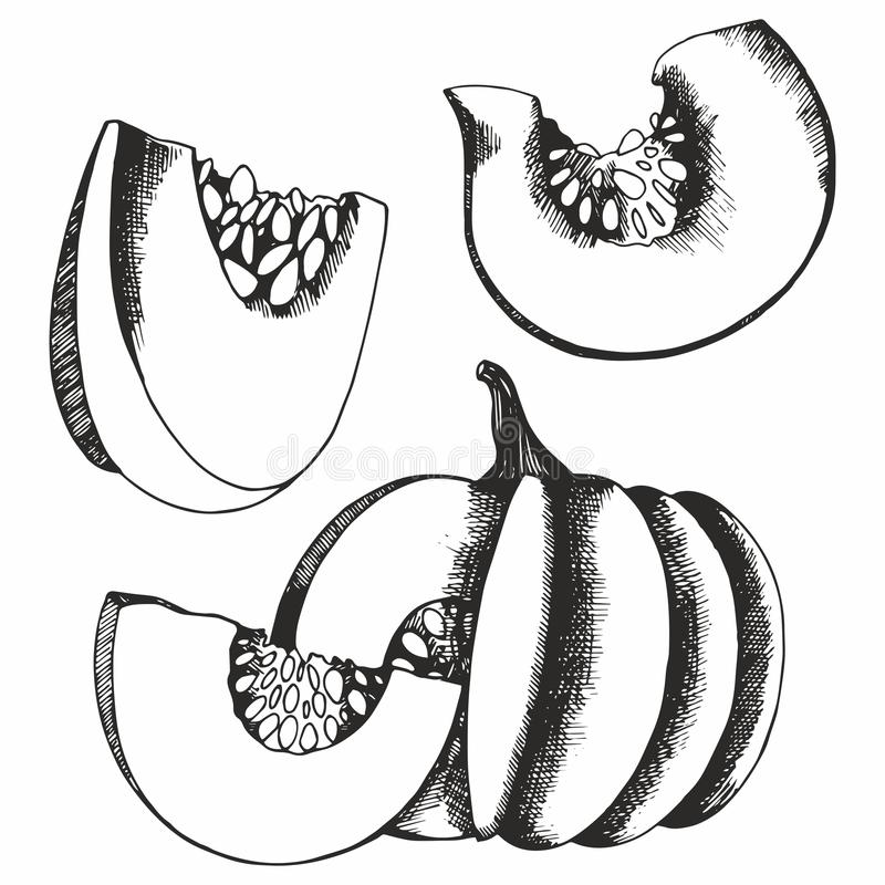 tyc7111cc太阳成集团