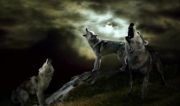 【太阳成tyc7111cc官网】别样的光影魔术:《银翼杀手2049》神在哪里?(图1) tyc7111cc太阳成集团