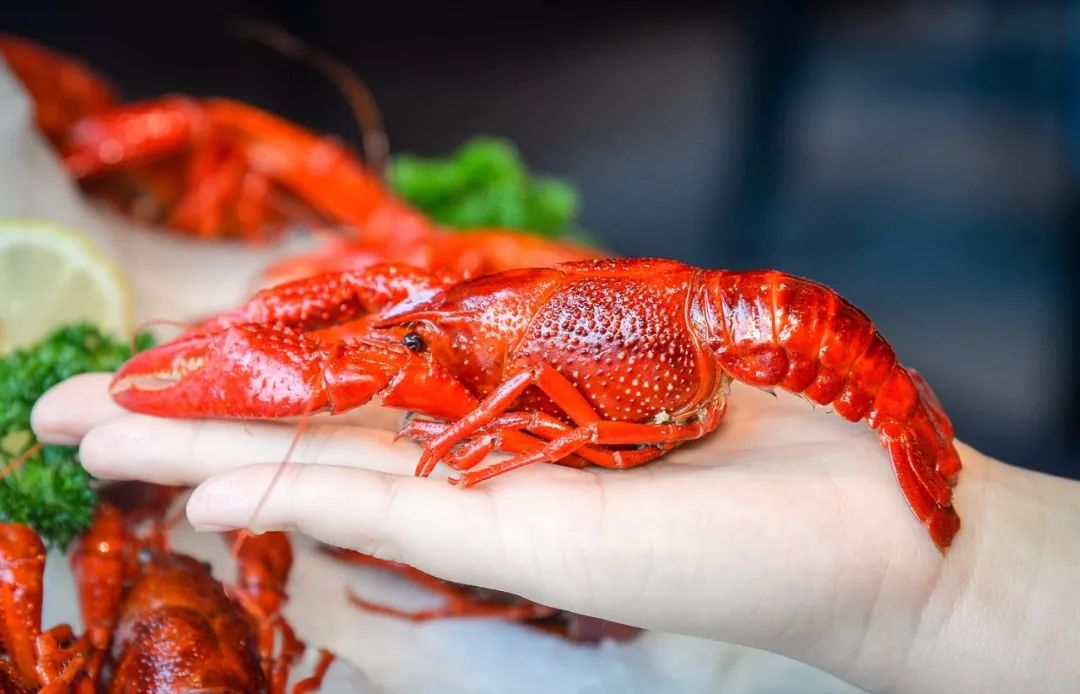 tyc7111cc太阳成集团