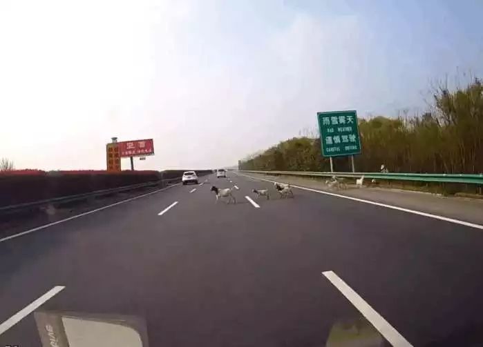 太阳成tyc7111cc官网