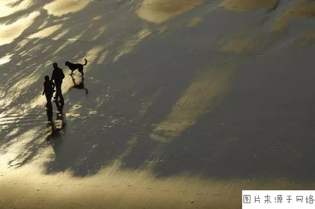 太阳成tyc7111cc官网