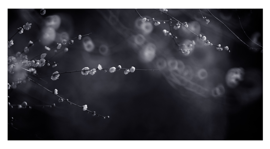 太阳成tyc7111cc官网