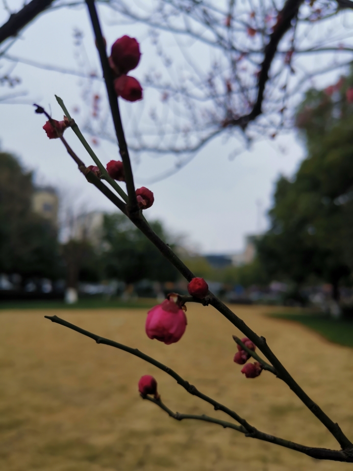 太阳成tyc7111cc官网