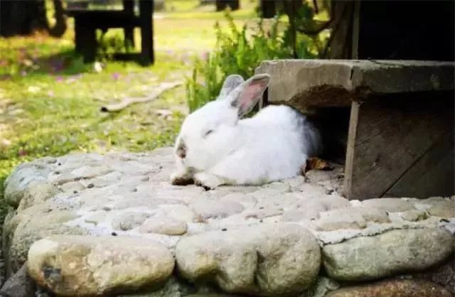 tyc7111cc太阳成集团