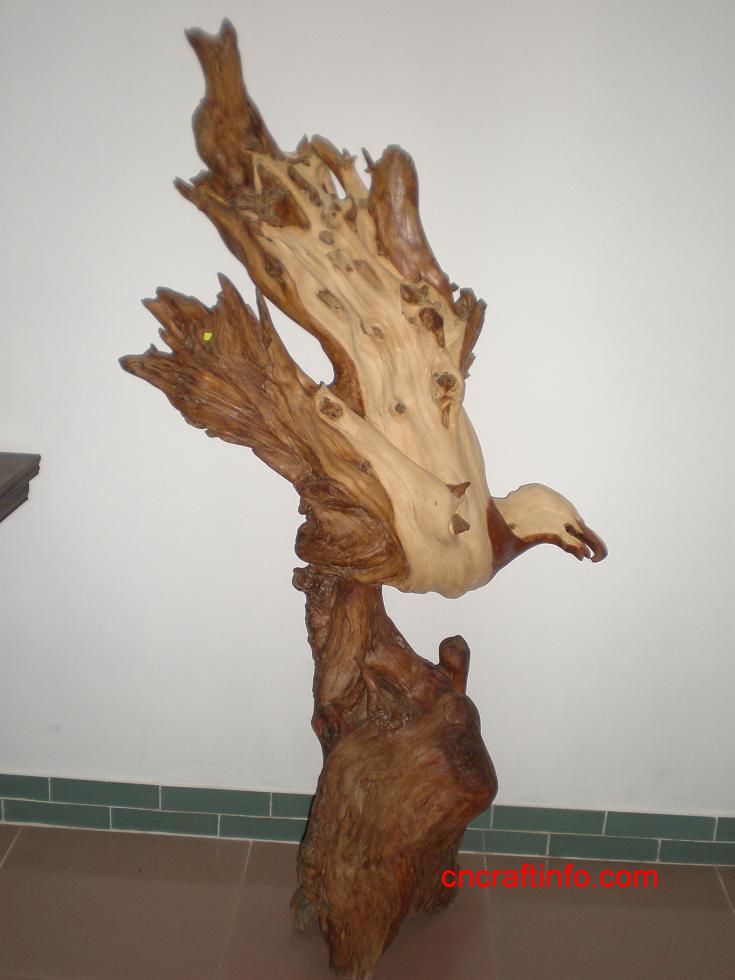 太阳成tyc7111cc官网