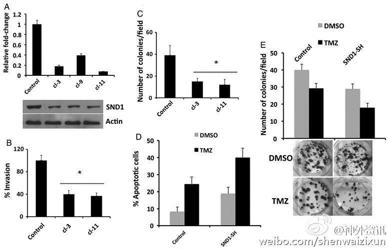 tyc7111cc太阳成集团