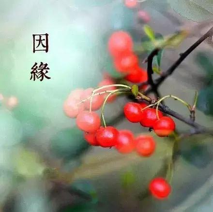 tyc7111cc太阳成集团