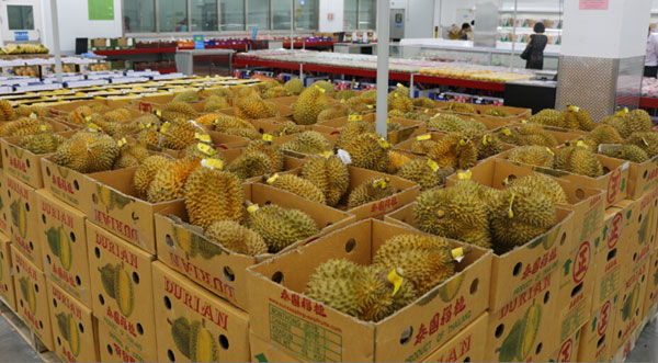 太阳成tyc7111cc官网