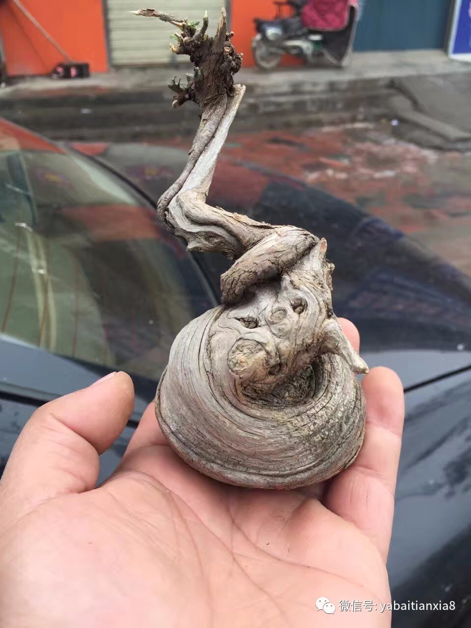 tyc7111cc太阳成集团_《大黄蜂》午夜场票房579万 《海王》单日票房首次跌至千万以下(图1) 太阳成tyc7111cc官网