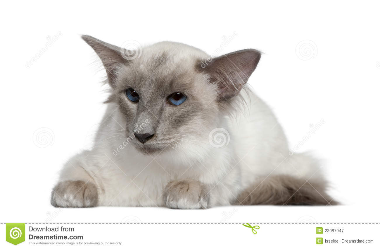 tyc7111cc太阳成集团-《湮灭》神级烧脑科幻片,跪着看一点都不夸张(图1) 太阳成tyc7111cc