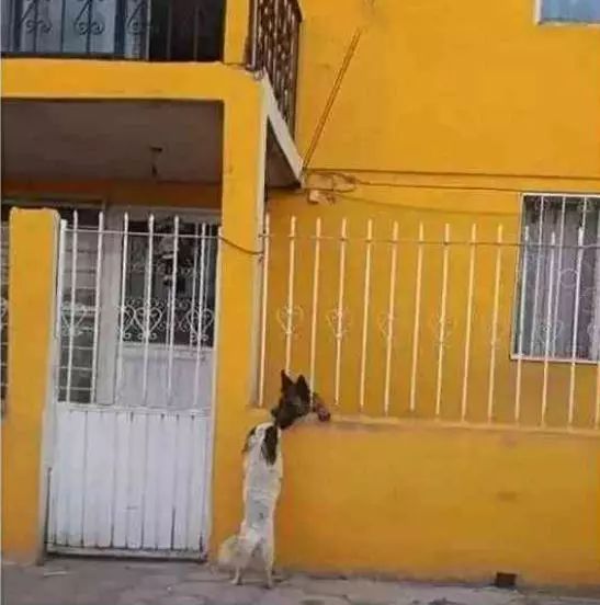 太阳成tyc7111cc官网