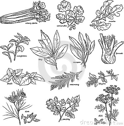 tyc7111cc太阳成集团-Twins斩获港台年度唱片大奖 舞台献唱迎九月巡演(图2) tyc7111cc太阳成集团