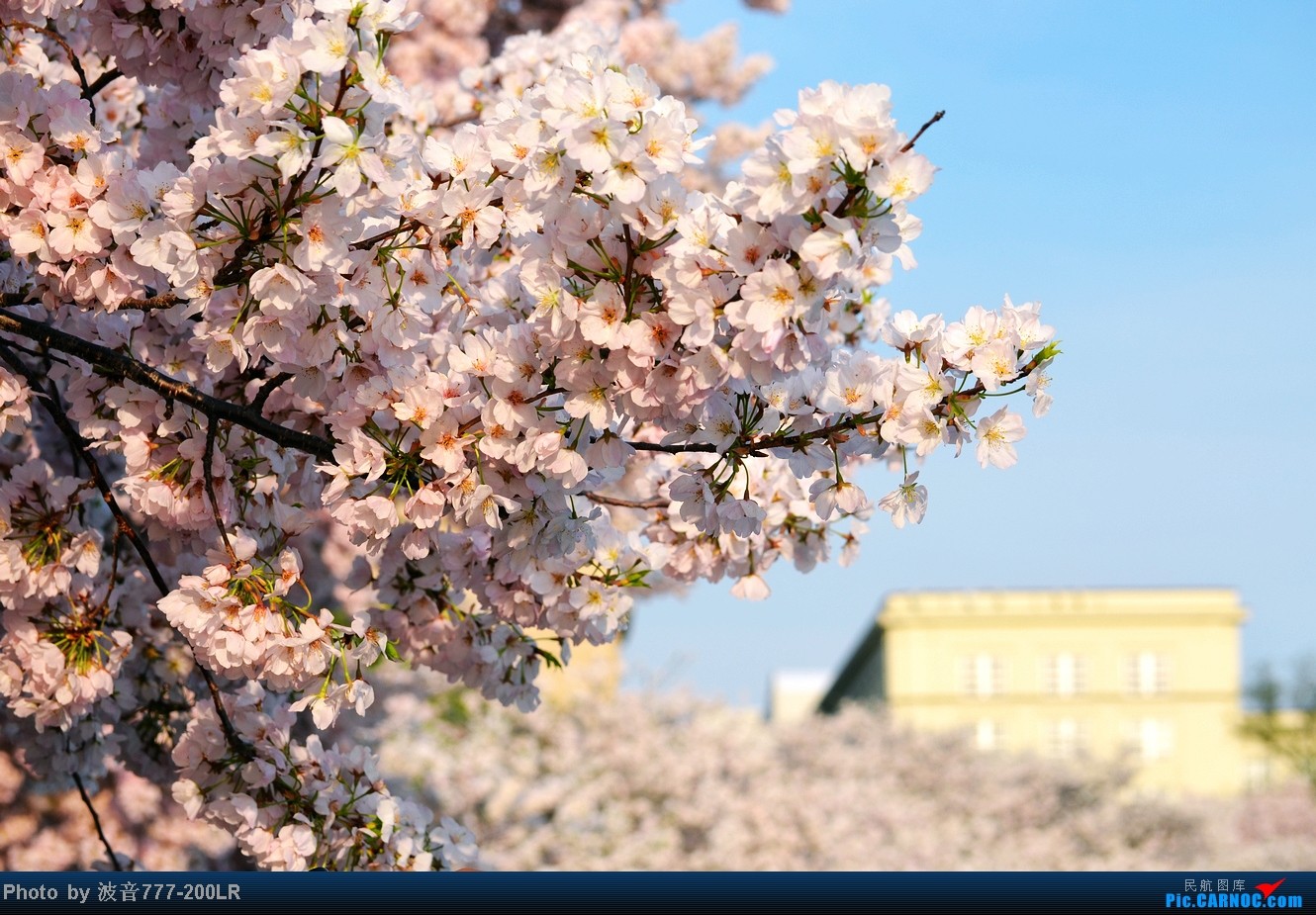 太阳成tyc7111cc官网