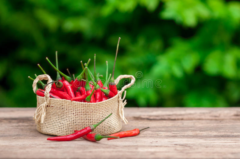 tyc7111cc太阳成集团