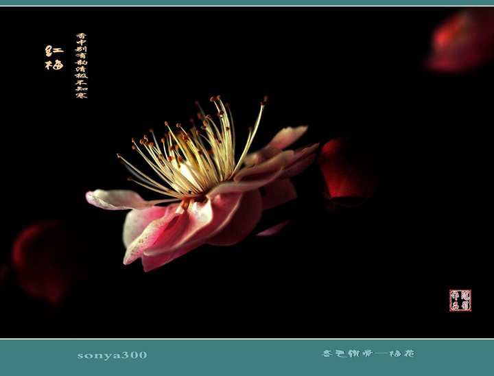 太阳成tyc7111cc官网