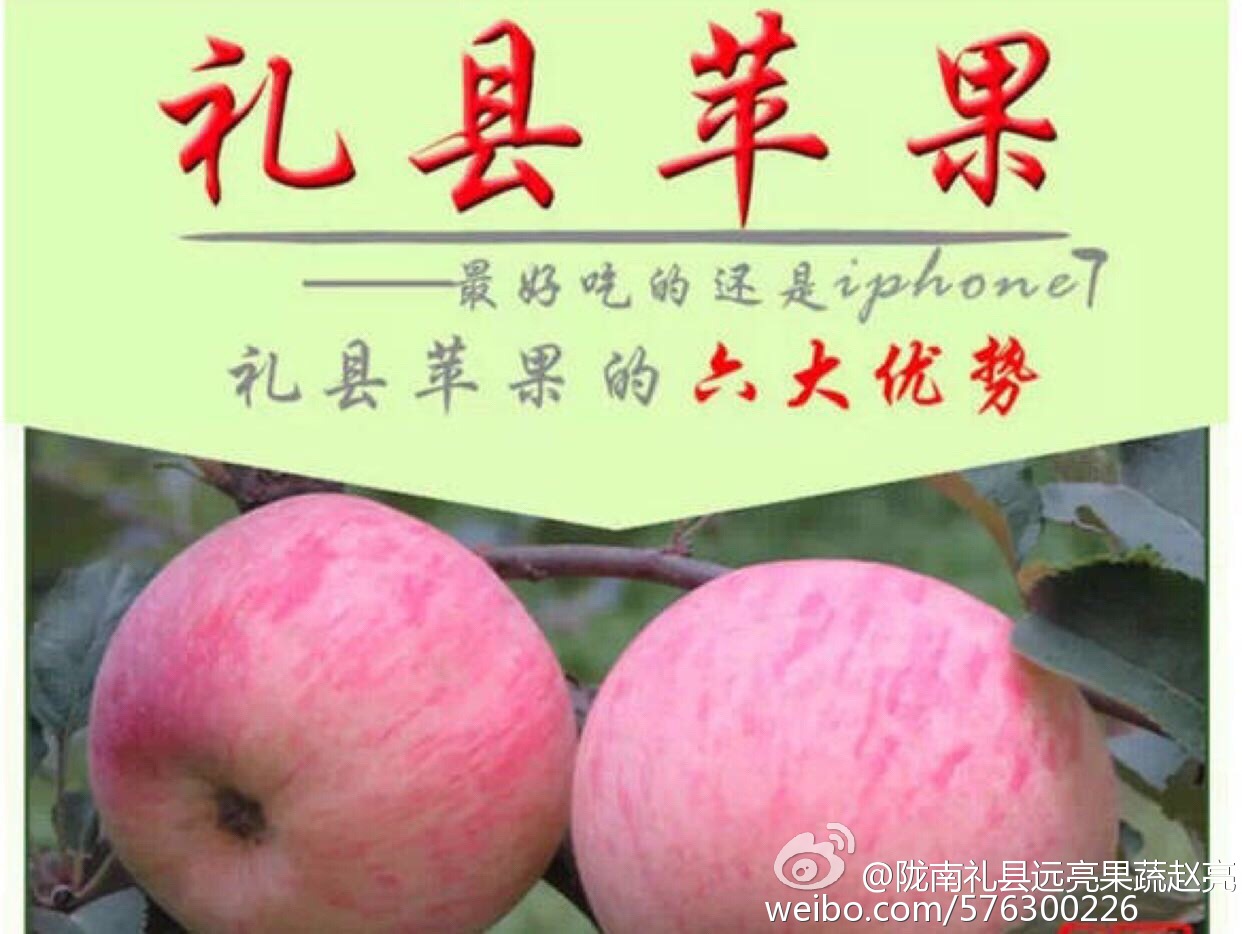 太阳成tyc7111cc官网