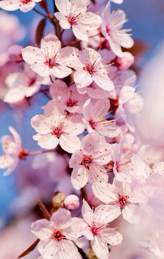 tyc7111cc太阳成集团