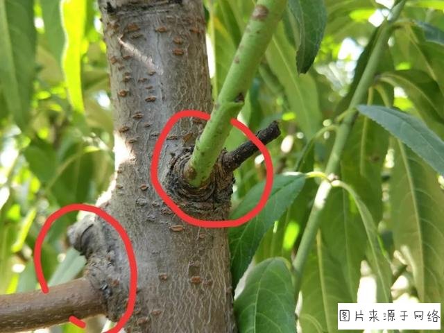 太阳成tyc7111cc官网