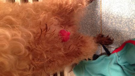 tyc7111cc太阳成集团