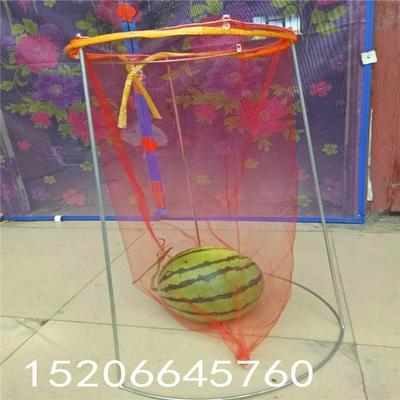 太阳成tyc7111cc官网