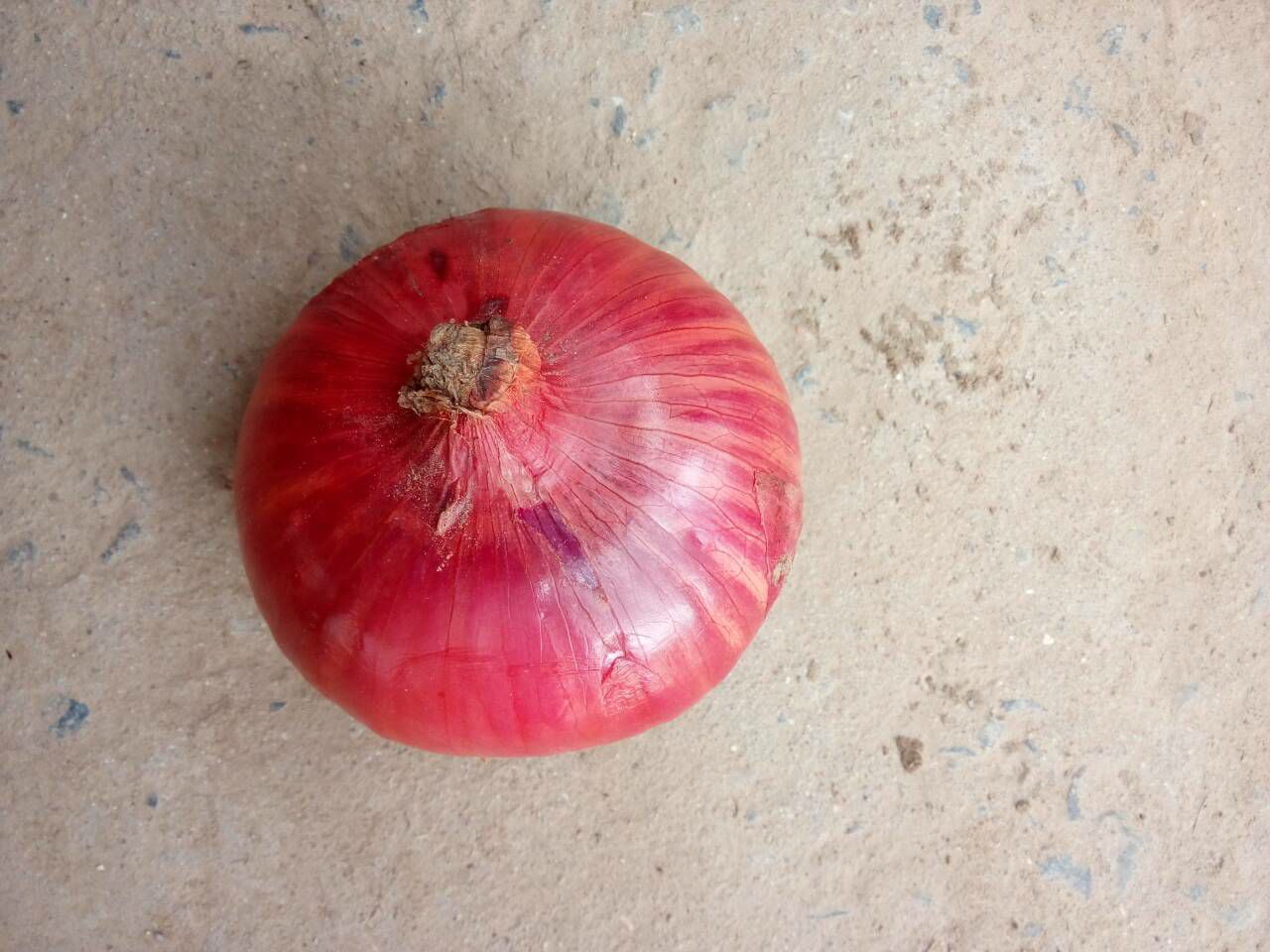 “太阳成tyc7111cc官网”《少年的你》原作者谈“融梗”:希望有一个标准(图1) 太阳成tyc7111cc官网