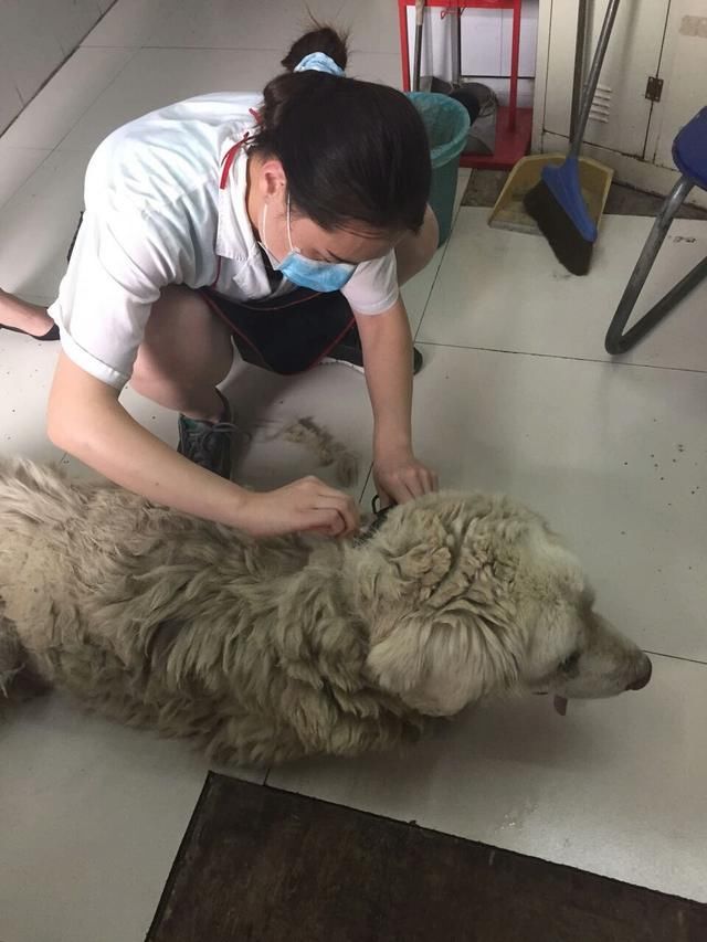 太阳成tyc7111cc官网|燕塘镇第十七届人民代表大会第五次会议胜利召开(图1) 太阳成tyc7111cc官网