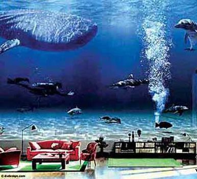 tyc7111cc太阳成集团