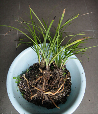 tyc7111cc太阳成集团