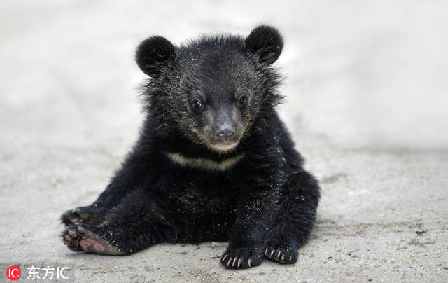 太阳成tyc7111cc官网