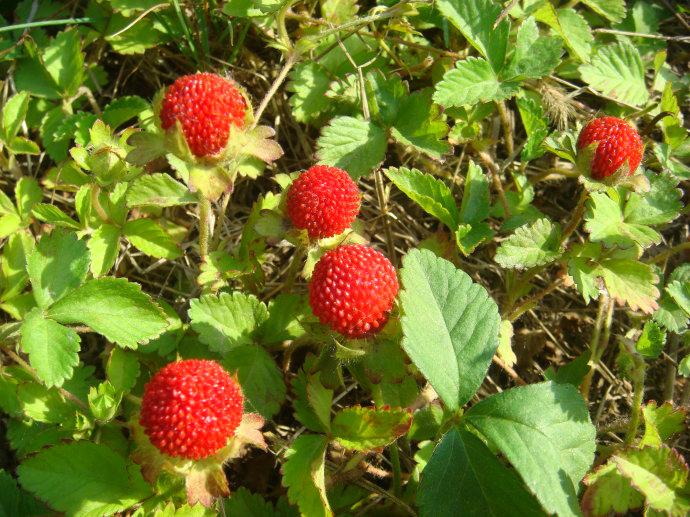 tyc7111cc太阳成集团