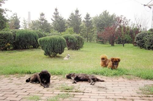 tyc7111cc太阳成集团