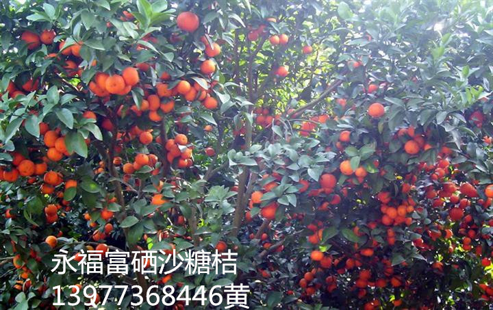 县委常委会开展“悟初心、明正反,铸就忠诚担当” 专题研讨暨中共钟山县第十四届委员会理论学习中心组第18次集中学习:太阳成tyc7111cc(图1) tyc7111cc太阳成集团