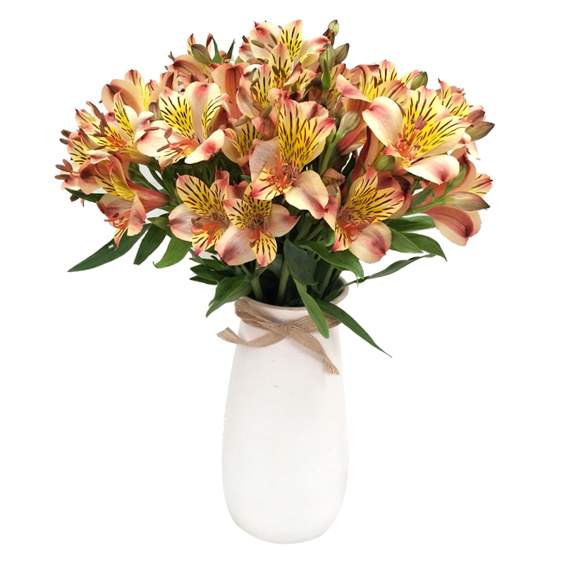 tyc7111cc太阳成集团