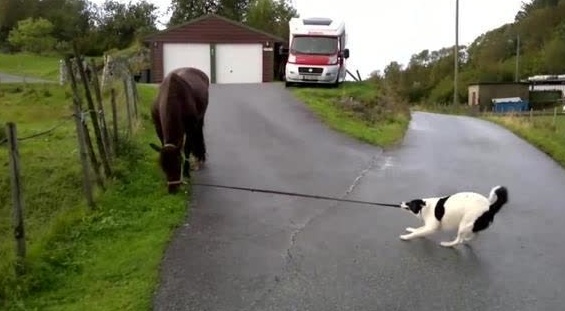 tyc7111cc太阳成集团