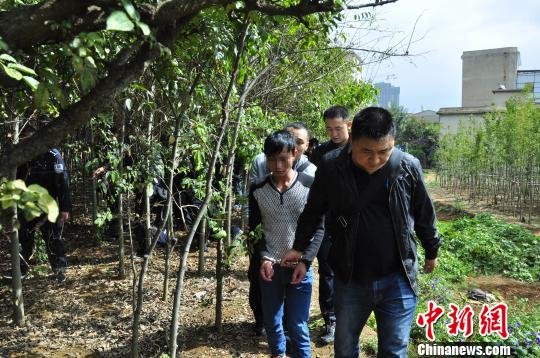 《无双》总票房今日破10亿大关 杨幂新作《宝贝儿》空降周五排映冠军【tyc7111cc太阳成集团】(图1) 太阳成tyc7111cc官网