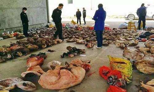 tyc7111cc太阳成集团