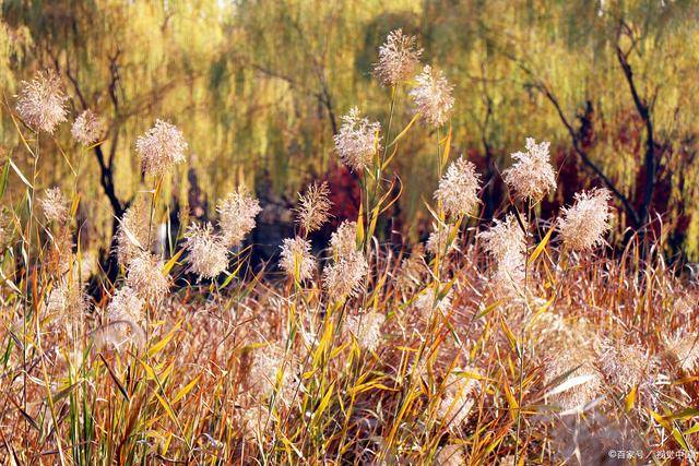 太阳成tyc7111cc官网