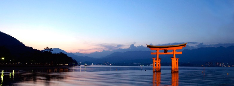 太阳成tyc7111cc官网