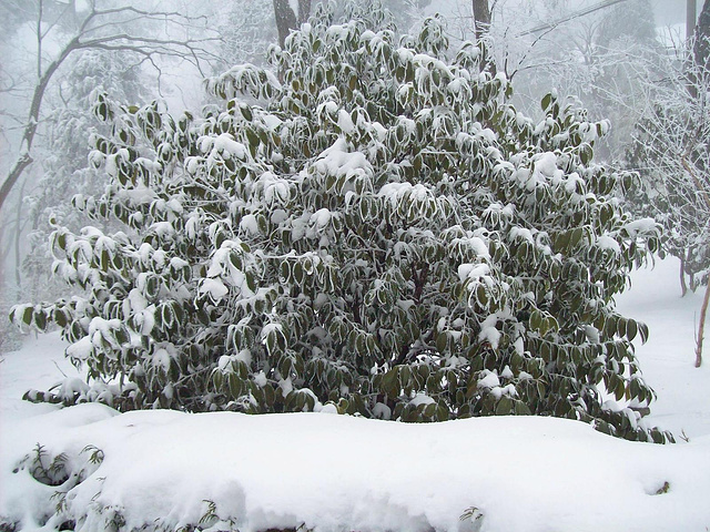 tyc7111cc太阳成集团