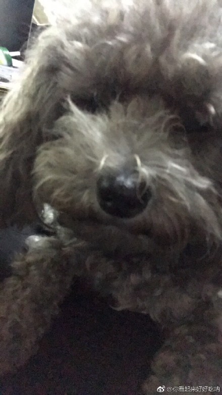 《扫毒2》票房破10亿 春节档后终于有一部国产片票房破10亿了!-太阳成tyc7111cc官网(图1) tyc7111cc太阳成集团