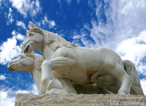 tyc7111cc太阳成集团