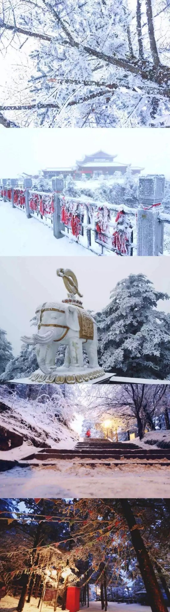 我不是药神原型是什么?电影故事的灵感来源于什么事件|太阳成tyc7111cc(图1) 太阳成tyc7111cc官网